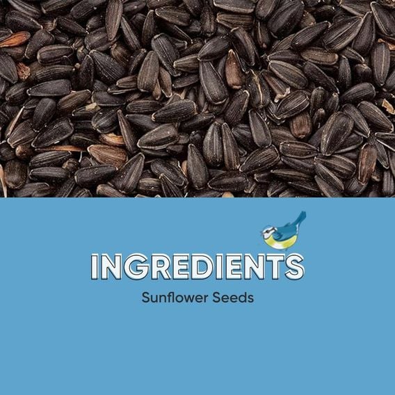 Happy Beaks - Black Sunflower Seeds